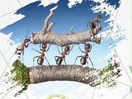 【杭州继保电气集团】之乘风破浪