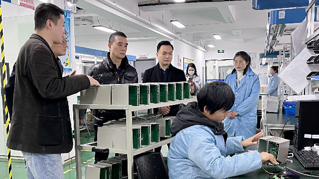 湖北省黄石市发改委副主任罗晖一行莅临我司考察指导工作
